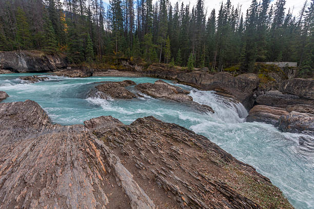istock Natural Bridge at Yoho National Park in British Columbia 492263258