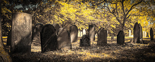 di cimiteri-vista panoramica - colortones foto e immagini stock
