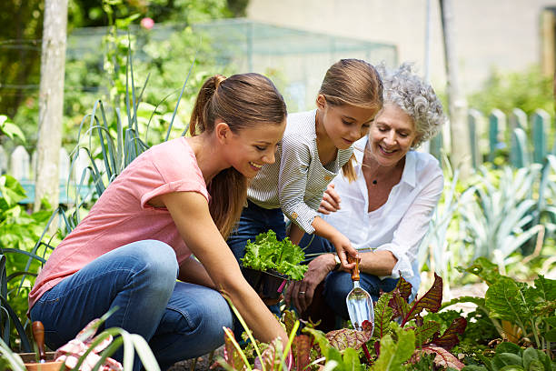 family gardening together in yard - mother family vertical flower photos et images de collection