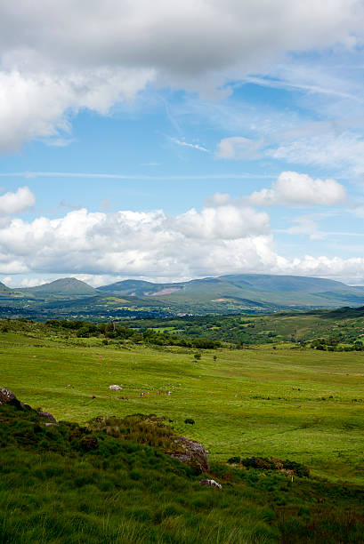 istock landscape view of a hiking route 492276660