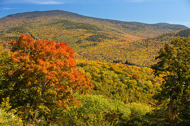 istock Bright red maple tree overlooking Sandwich mountains, Woodstock, 492276868