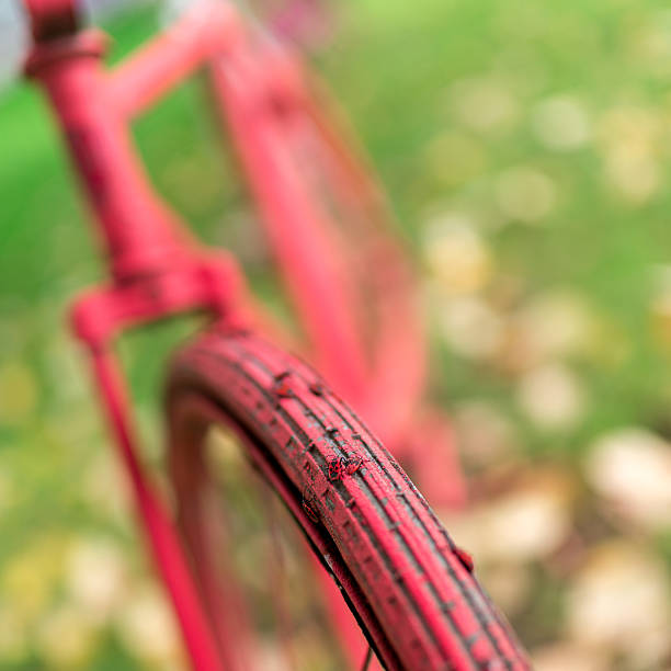 istock Old bike in the park 492276932