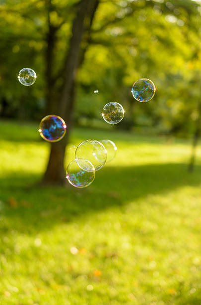 istock Soap bubbles floating on a green lawn 492285840