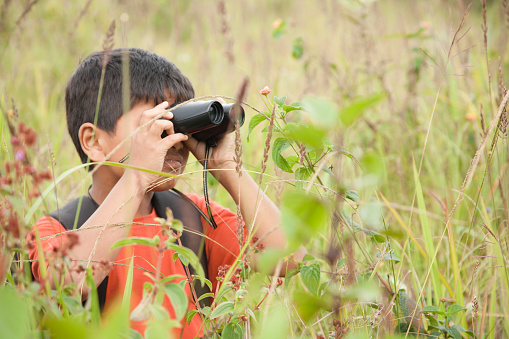 Cute little boy enjoys exploring the outdoor world using binoculars in a meadow or open grassy field.  The child wears a serious expression as he looks off into the distance to discover nature.  Science, education themes.  Elementary aged.  Latin, Indian, Asian descent child.   Tall grasses in foreground. 