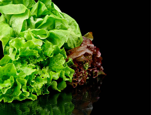 istock Many varieties of lettuce on black on the side 492287300