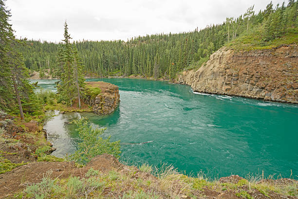 Colorful River entering a Canyon The Yukon River Entering Miles Canyon near Whitehorse, Yukon yukon river canyon yukon whitehorse stock pictures, royalty-free photos & images