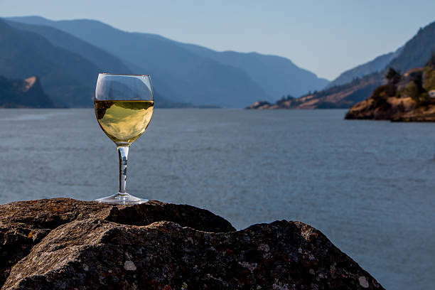 verre à vin inverted gorges du fleuve columbia montagnes cascade dans l'état de washington, de l'oregon - gewurztraminer photos et images de collection