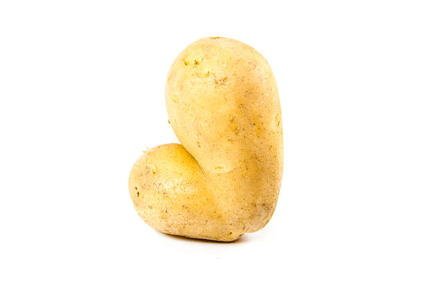 istock Fresh Brown Raw Potato on white background 492297889