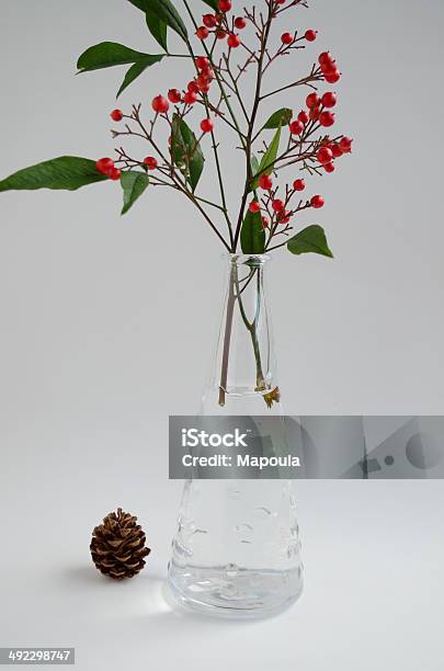 Nandina In Glass Vase Stock Photo - Download Image Now - Vase, Berry Fruit, Christmas