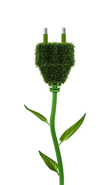 Green energy flower Electrical power plug growing like a flower. isolated on white. 3d-illustration two pin plug stock pictures, royalty-free photos & images