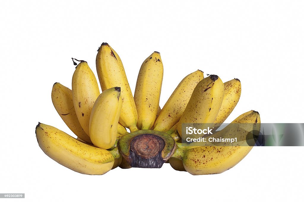 Thai delicious little bananas shutter speed 1.6 s, f/18, iso 50 focal length 100 mm. Agriculture Stock Photo