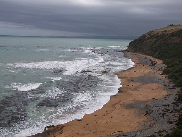 istock beach, Oamaru, New Zealand 492308990