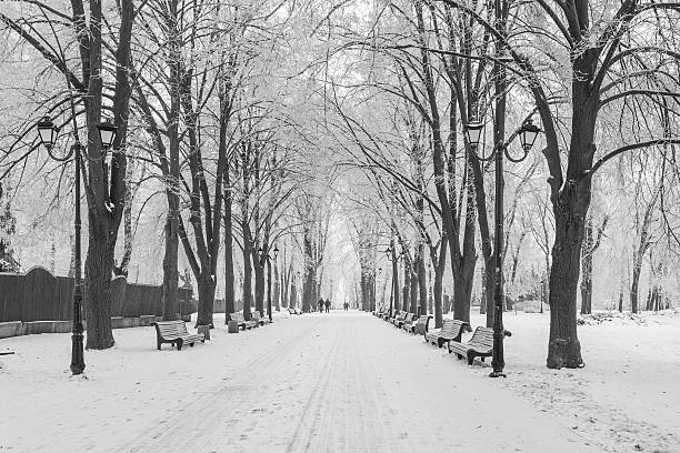 istock footpath in a fabulous winter city park 492310400
