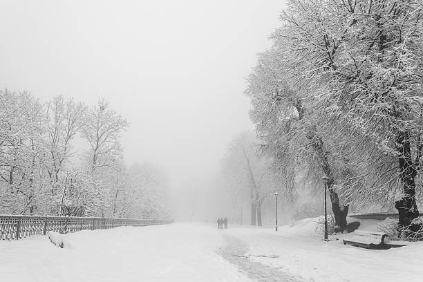 istock footpath in a fabulous winter city park 492310508