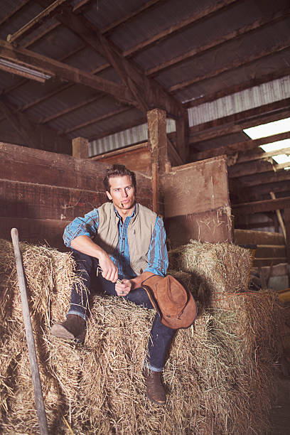 istock Cowboy Sitting in the Barn on Top of Hay Stack 492310714
