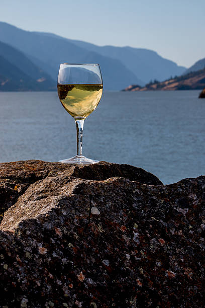 verre de vin de chardonnay inverting gorges du fleuve columbia, dans l'oregon, washington - gewurztraminer photos et images de collection