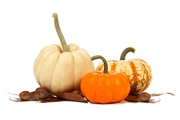 trzy unikalne jesień dynia z liści na biały - miniature pumpkin zdjęcia i obrazy z banku zdjęć