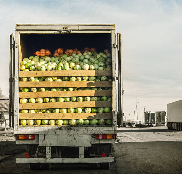 trailer laden with cabbage stock photo