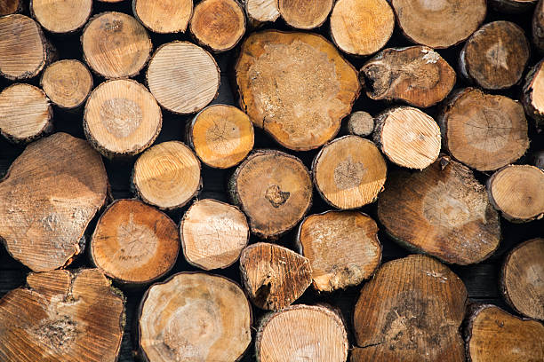 Firewood. Wood stock photo