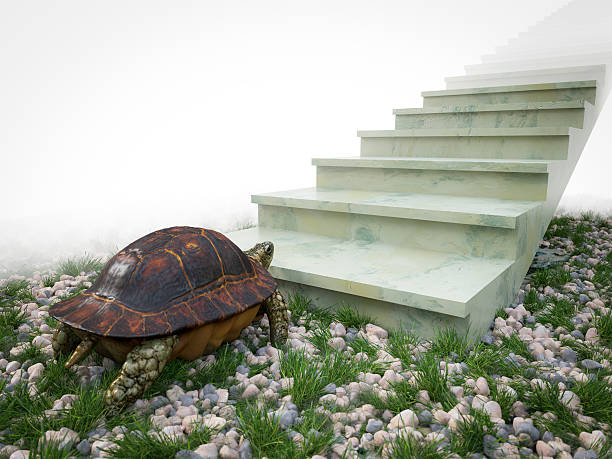 moving turtle wants to climb on the stairs concept illustration stock photo