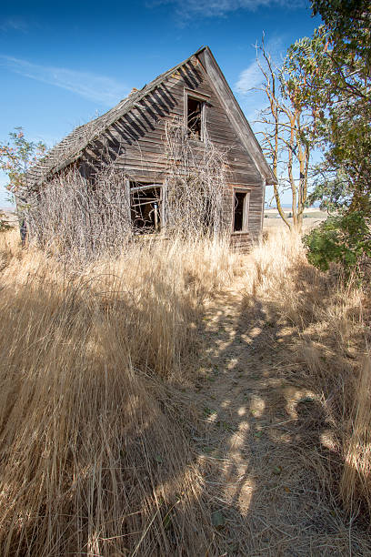 istock Abandoned Rustic Farmhouse Collapsing Homestead Western Prairie Vertical HDR 492317514