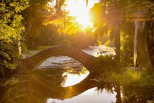 Rustic stone bridge arching over the still water in City Park in New Orleans, Louisiana at dusk with palm trees and Cypress trees