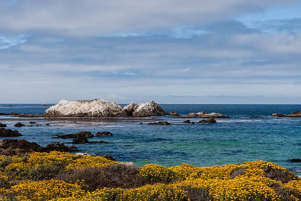 Bird Rock at 17 Mile Drive