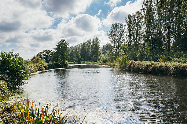 Exeter ship canal in Devon Exeter ship canal in Exeter, Devon, South-west England. Grass and trees line the canals banks which winds alongside the River Exe. It was an important trade route for Exeters port in the past. exeter england stock pictures, royalty-free photos & images