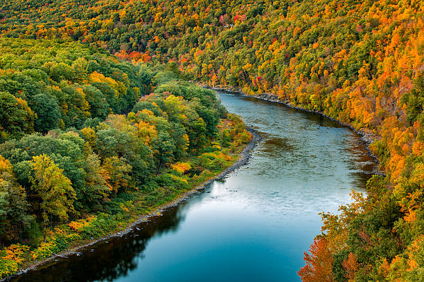 Upper Delaware river bend Upper Delaware river bends through a colorful autumn forest, near Port Jervis, New York st john's plant stock pictures, royalty-free photos & images