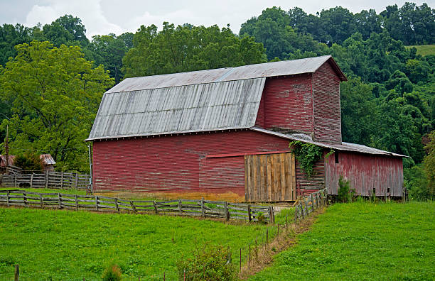 istock Red countryside barn with leading fence and green grass. 492323734