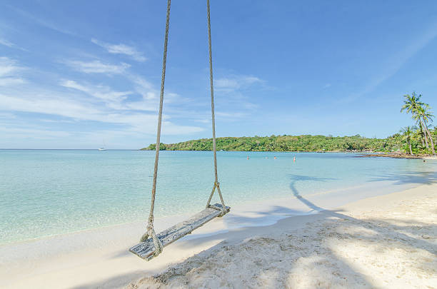 istock Swing hang from coconut palm tree over beach sea 492323796