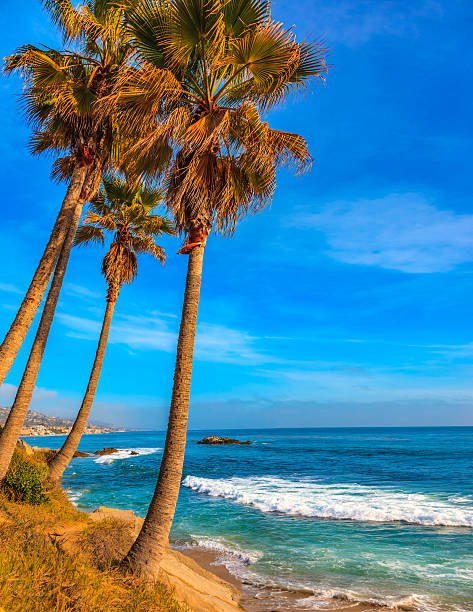 istock Laguna Beach coastline,Pacific Ocean,Rte 1,Orange County,CA 492323844