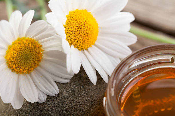 istock Honey with daisy flower 492333339