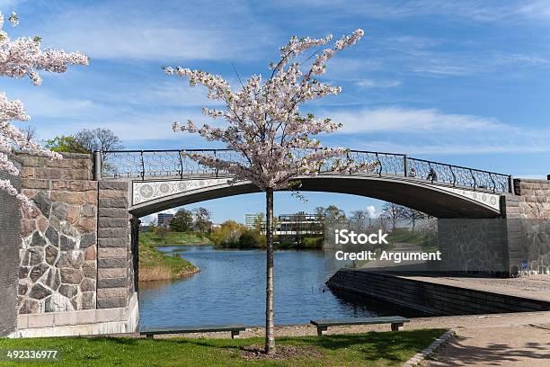 Sunny Day In Spring Stock Photo - Download Image Now - Architecture, Beauty In Nature, Blue