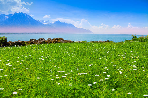 istock Magnificent Geneva lake near Alps 492339361