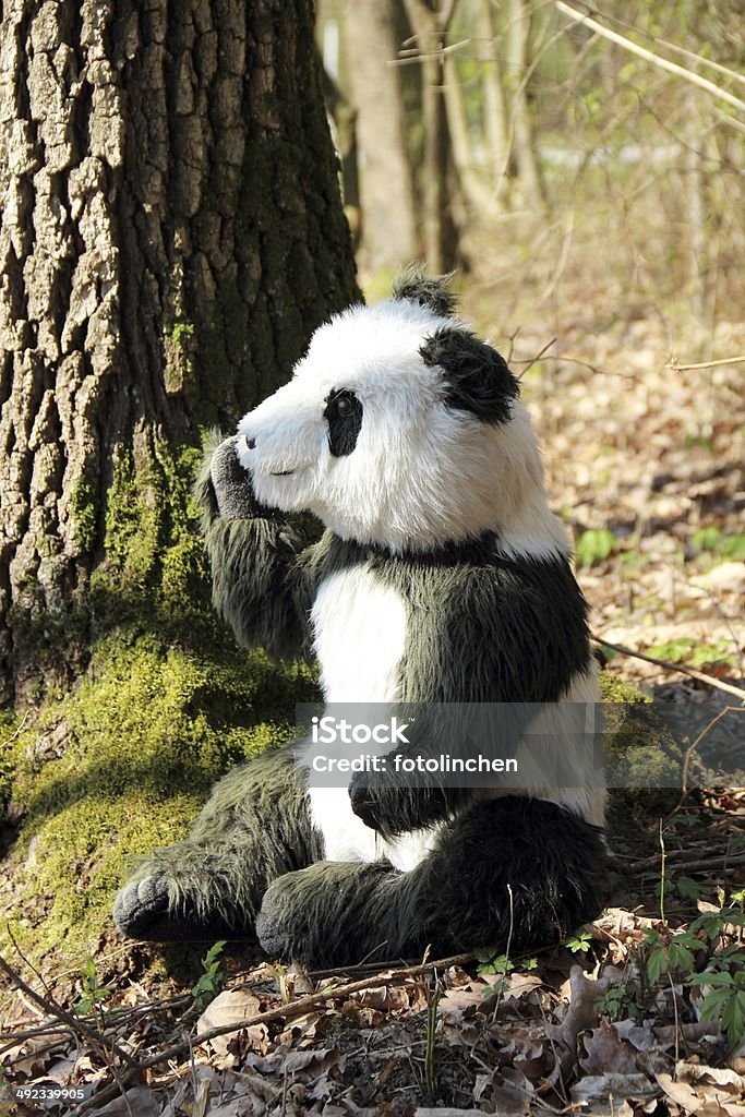 Panda urso de pelúcia - Foto de stock de Panda - Mamífero de quatro patas royalty-free