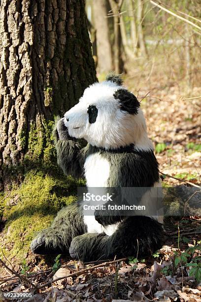 Panda Плюшевый Мишка — стоковые фотографии и другие картинки Панда - Панда, Большой, Вертикальный