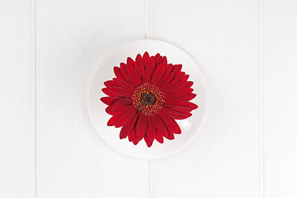 istock Red gerbera flower in cup and sauce 492339975