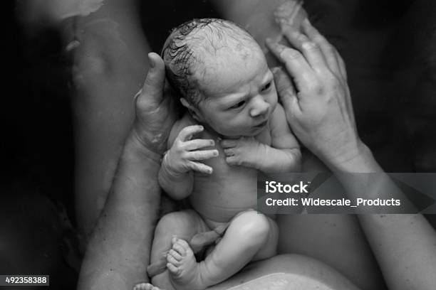 Baby Water Birth Stock Photo - Download Image Now - Water Birth, Childbirth, New Life