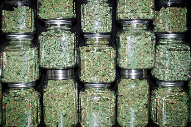 pila di mattoni di vetro giare di marijuana boccioli verde con - herbal medicine flash foto e immagini stock