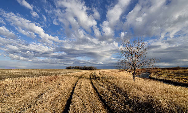 strada di campagna - manitoba prairie landscape canada foto e immagini stock