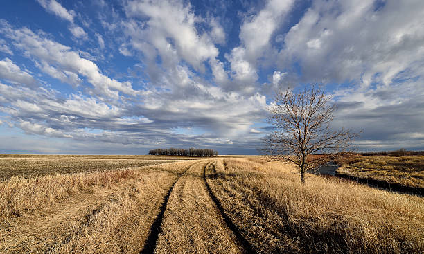 wiejska droga - manitoba prairie landscape canada zdjęcia i obrazy z banku zdjęć