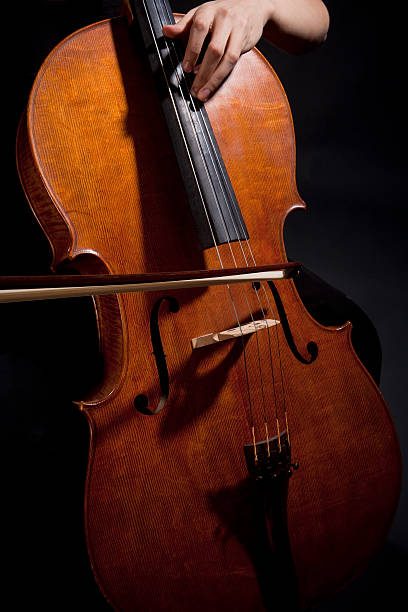 istock Female Musician Playing Violoncello 492361413