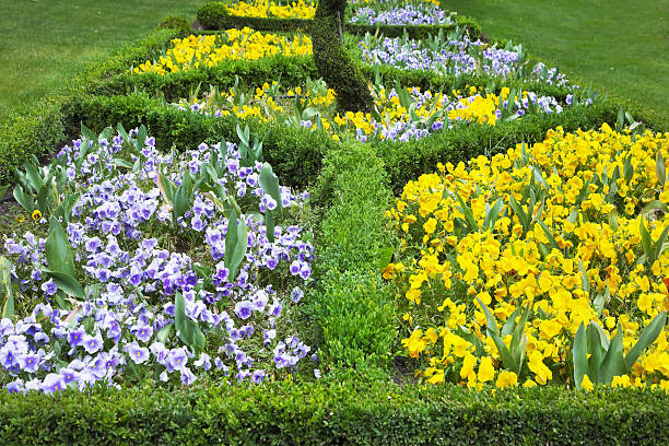 istock Line from bushes and flower 492361545