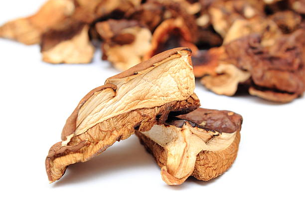 istock Heap of dried mushrooms on white background 492361850