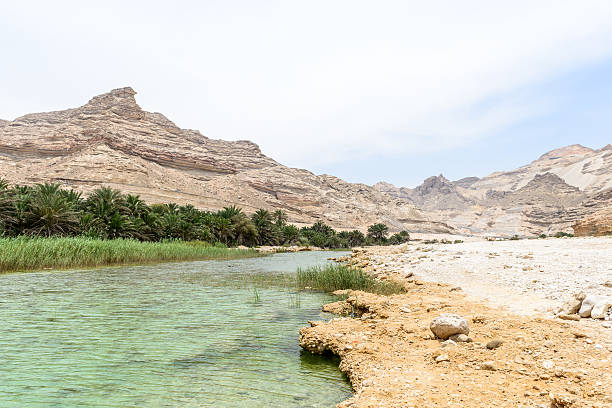 istock Oasis near route 49, Dhofar (Oman) 492362155