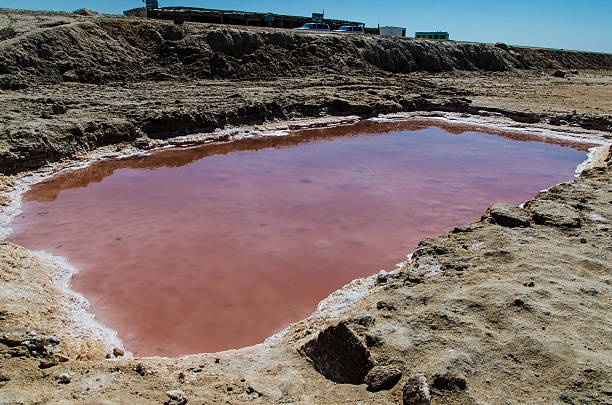 Red Water into the desert In winter the "salt desert" is a lake, in summer becomes a desert. This puddle is red because prolification of bacteria. tunisia sahara douz stock pictures, royalty-free photos & images