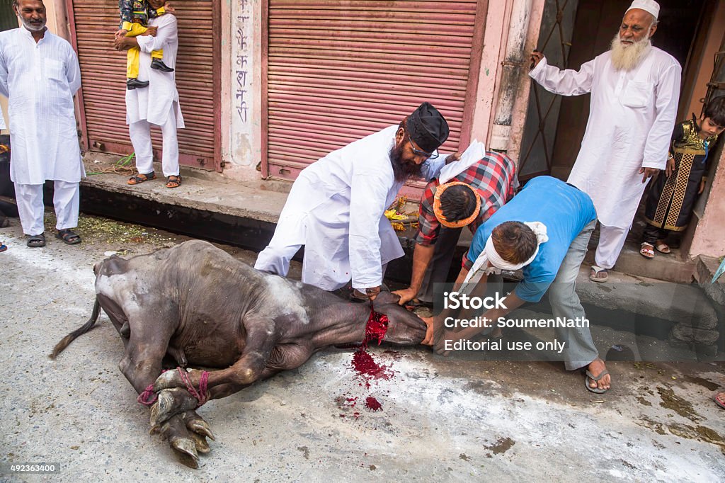 Animals Being Sacrificed To Mark Eid Uladha Stock Photo - Download Image  Now - Eid al-Adha, India, Eid-Ul-Fitr - iStock