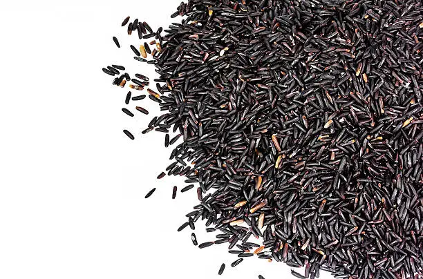 Rice berry (black jasmine rice) isolated on white background