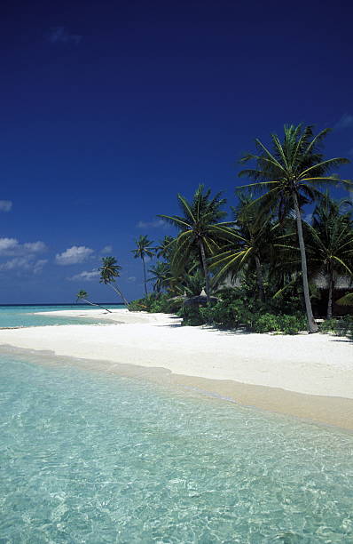 istock ASIA INDIAN OCEAN MALDIVES BEACH 492365195